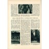 Tęcza. Ilustrowane pismo tygodniowe. R.2 (1928). Z. 39 (29 września 1928) / Zbigniew Pronaszko / Kazimierz Nitsch / rzeźbiarka H