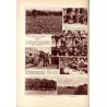 Tęcza. Ilustrowane pismo tygodniowe. R.2 (1928). Z. 39 (29 września 1928) / Zbigniew Pronaszko / Kazimierz Nitsch / rzeźbiarka H