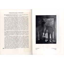 Przegląd Fotograficzny. Miesięcznik ilustrowany. Organ Fotoklubu Wileńskiego i Lwowskiego Towarzystwa Fotograficznego. R. 2 (193
