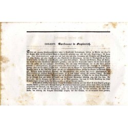 Meyer's Universum oder Abbildung und Beschreibung des Sehenswerthesten und Merkwürdigsten der Natur und Kunst auf der ganzen Erd