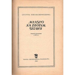 Miasto na złotym szlaku. Powieść historyczna z XVI wieku