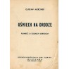 Uśmiech na drodze. Powieść o śląskich dzieciach. Odcinek powieściowy II tomu "Płomyka", Warszawa, rok szkolny 1934/5