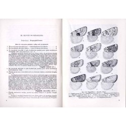 Klucze do oznaczania owadów Polski. Cz.27: Motyle - Lepidoptera. Z.53g: Sówki - Noctuidae