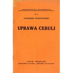 Uprawa cebuli
