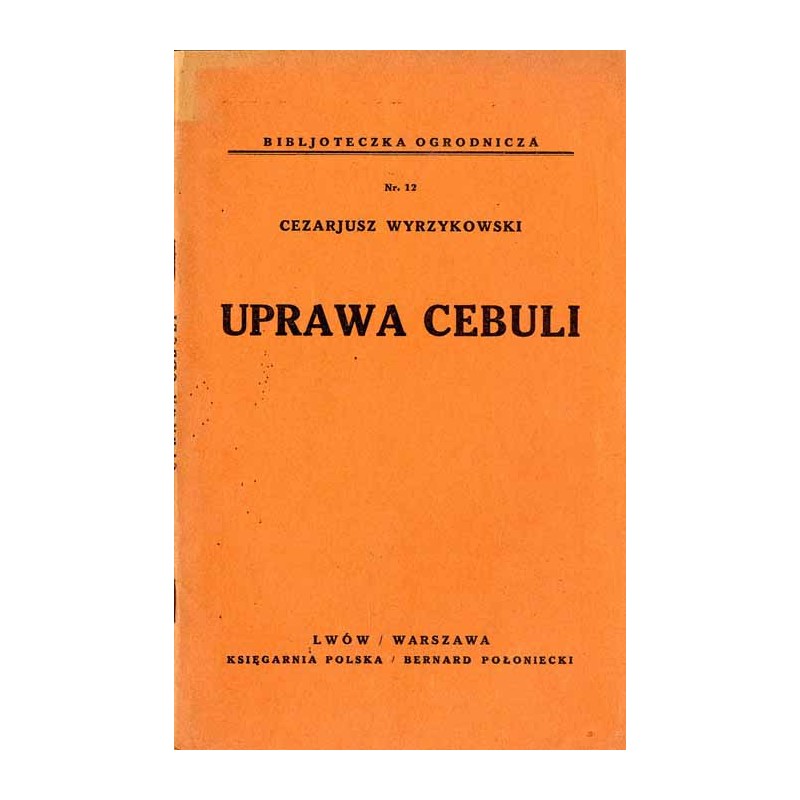Uprawa cebuli