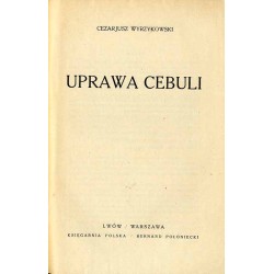 Uprawa cebuli