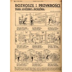 Moi rodzice rozwodzą się. Powieść / komiks: Rozkosze i przykrości Pana Wyżerki z rodziną