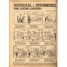 Moi rodzice rozwodzą się. Powieść / komiks: Rozkosze i przykrości Pana Wyżerki z rodziną