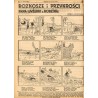 Moi rodzice rozwodzą się. Powieść / komiks: Rozkosze i przykrości Pana Wyżerki z rodziną