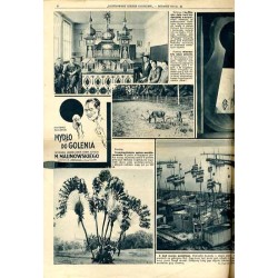 Ilustrowany Kurier Codzienny. Bezpłatny dodatek tygodniowy "Ilustrowanego Kuriera Codziennego" nr 46. R.8 (1932). Nr 8 (359) (15