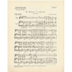 Kennst du das Land? Beliebte italienische und spanische Volkslieder Klavier mit Gesang