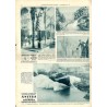 Ilustrowany Kurier Codzienny. Bezpłatny dodatek tygodniowy "Ilustrowanego Kuriera Codziennego" do nr 12. R.7 (1931). Nr 3 (312)