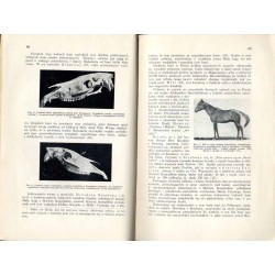Przyroda i Technika. Czasopismo, poświęcone popularyzacji nauk przyrodniczych i technicznych. R.17 (1938). Z. 2 (Luty 1938) / Ob