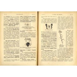 Przyrodnik. Miesięcznik dla młodzieży, poświęcony naukom przyrodniczym. R.1 (1924). Nr 3 (Marzec 1924) / Jezioro Wigry / Tatry