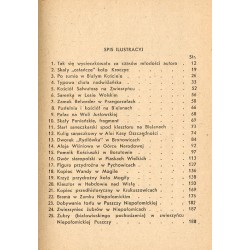 Ziemia Krakowska. Szczegółowy przewodnik wycieczkowy. T.1: