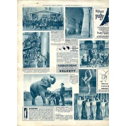 Ilustrowany Kurier Codzienny. Bezpłatny dodatek tygodniowy "Ilustrowanego Kuriera Codziennego" do nr 111. R.6 (1930). Nr 17 (273