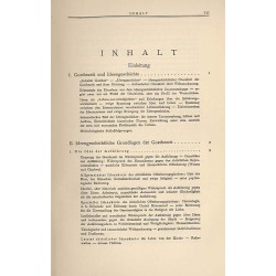 Geist der Goethezeit. Versuch einer Ideellen Entwicklung der klassisch-romantischen Literaturgeschichte. Theil 1: Sturm und Dran