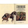 The horse. The complete guide to horse breeds and breeding