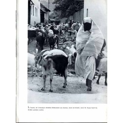 So sah ich Jugoslavien. Ein Bericht in Bildern mit einleitendem Text