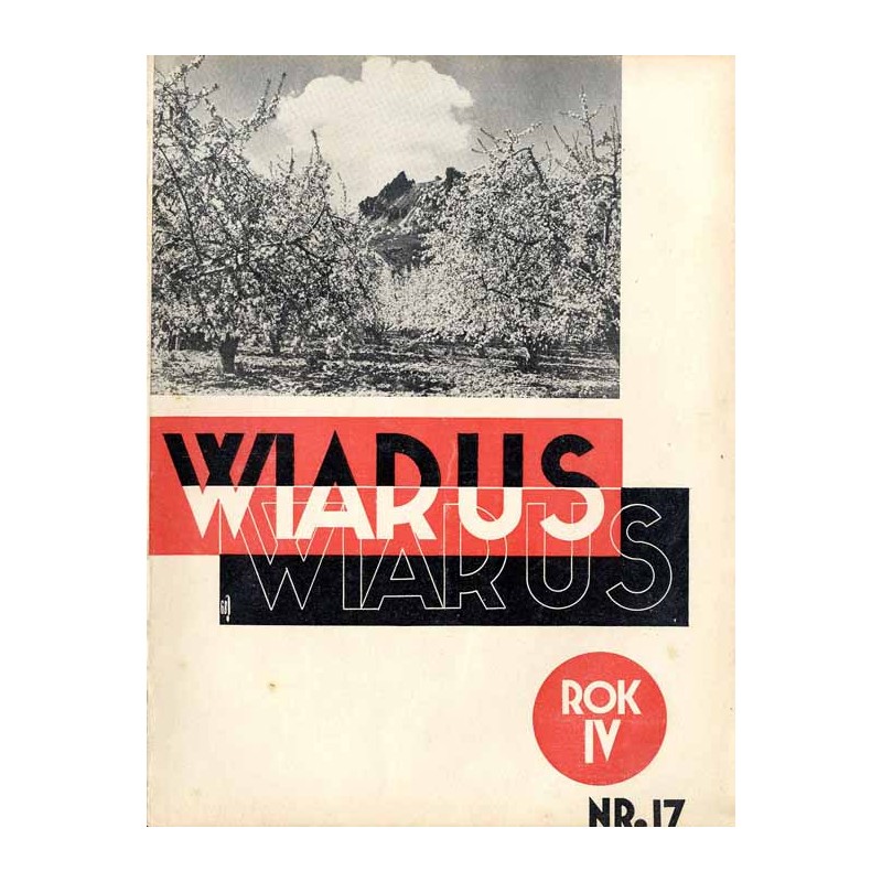 Wiarus. Organ Korpusu Podoficerów Zawodowych Wojska Lądowego, Marynarki Wojennej i Korpusu Ochrony Pogranicza. R.4 (1933). Nr 17
