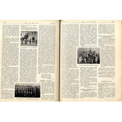 Wiarus. Organ Korpusu Podoficerów Zawodowych Wojska Lądowego, Marynarki Wojennej i Korpusu Ochrony Pogranicza. R.4 (1933). Nr 17
