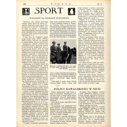 Wiarus. Organ Korpusu Podoficerów Zawodowych Wojska Lądowego, Marynarki Wojennej i Korpusu Ochrony Pogranicza. R.4 (1933). Nr 17