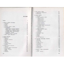 Technika i technologia sztuk graficznych