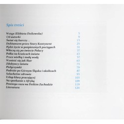 Homo viator. Balonem, dyliżansem, koleją ..