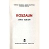 Koszalin. Zarys dziejów