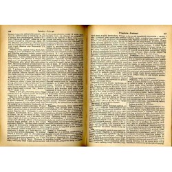 Encyklopedyja powszechna S. Orgelbranda. T. 9: (Pawliszczew-Quod libet)