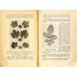 Wiadomości Stowarzyszenia Dyplomowanych Ogrodników. Dwumiesięcznik. R.5 (1939). Nr 4 (Lipiec 1939)