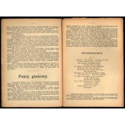 Teka. R.2 (1918) nr 20 (21.02.)