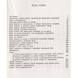 Partyzancka broń. O uzbrojeniu w Batalionach Chłopskich
