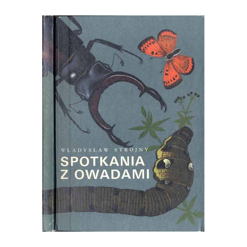 Spotkania z owadami