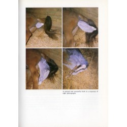Keeping your horse healthy. The prevention and cure of illness
