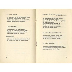 Die Fahne besiegt den Tod! Die Kantate von Tod und Leben