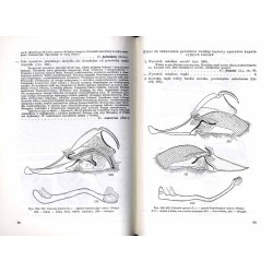 Klucze do oznaczania owadów Polski. Cz.27: Motyle - Lepidoptera. Z.53e: Sówki - Noctuidae. Podrodziny: Acontiinae, Sarrothripina
