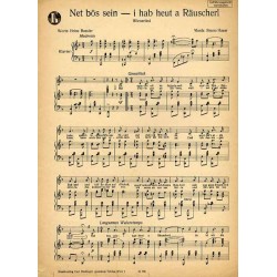 Net bös sein - i hab heut a Räuscherl. Wienerlied