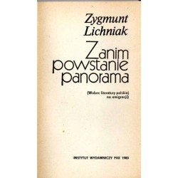 Zanim powstanie panorama. (Wobec literatury polskiej na emigracji)
