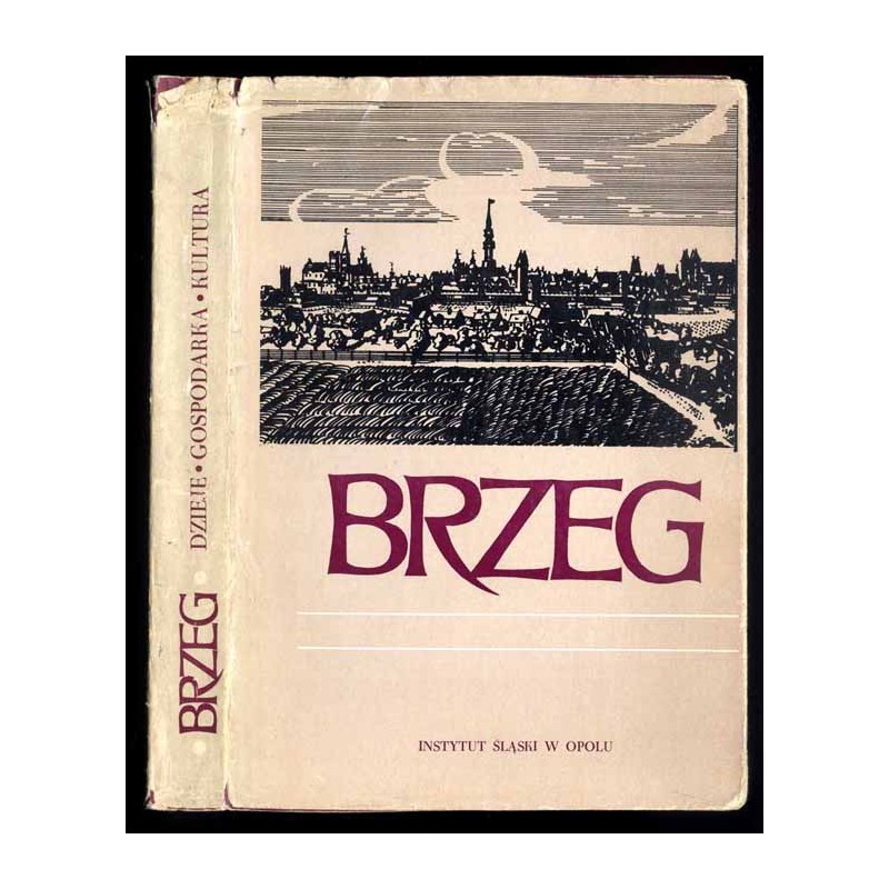 Brzeg. Dzieje - gospodarka - kultura