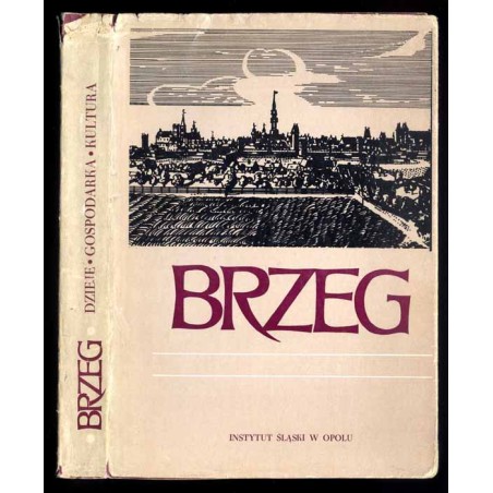 Brzeg. Dzieje - gospodarka - kultura