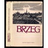 Brzeg. Dzieje - gospodarka - kultura