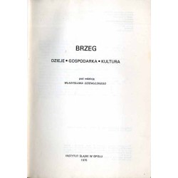 Brzeg. Dzieje - gospodarka - kultura