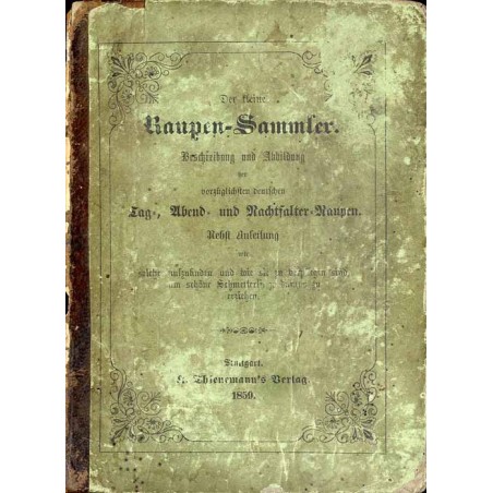 Der kleine Raupen-Sammler. Beschreibung und Abbildung der vorzüglichsten deutschen Tag-, Abend- und Nachtfalter-Raupen. Nebst An