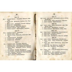 Der kleine Raupen-Sammler. Beschreibung und Abbildung der vorzüglichsten deutschen Tag-, Abend- und Nachtfalter-Raupen. Nebst An