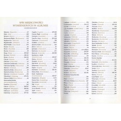 Rejencja opolska na dawnej pocztówce  Regierungsbezirk Oppeln auf alten Ansichtskarten  Opole district on the old postcards