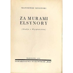 Za murami Elsynory (studja o Wyspiańskim)