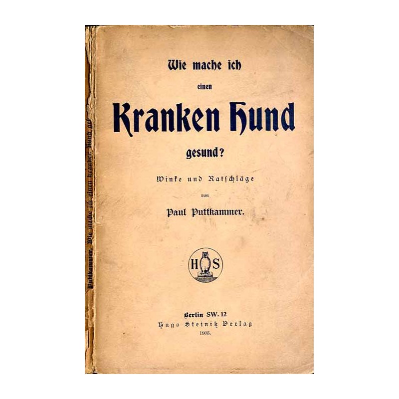 Wie mach ich einen kranken Hund gesund? Winke und Ratschläge