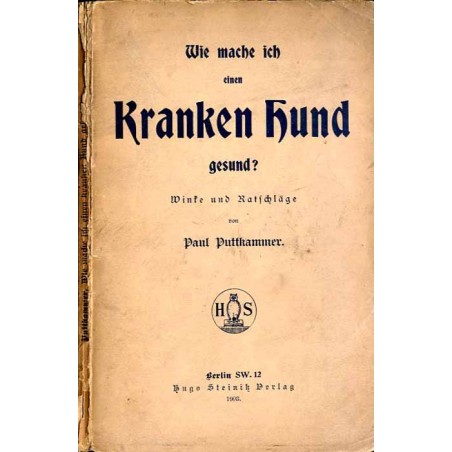 Wie mach ich einen kranken Hund gesund? Winke und Ratschläge