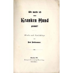 Wie mach ich einen kranken Hund gesund? Winke und Ratschläge